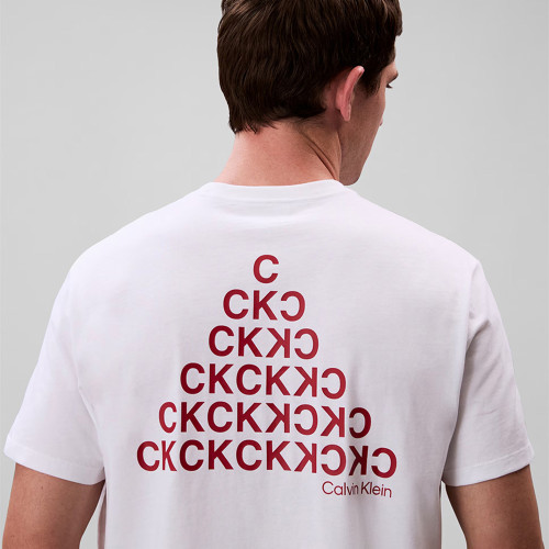 Calvin Klein Ανδρική κοντομάνικη μπλούζα Abstract Graphic Logo T-Shirt
